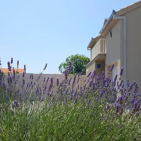 Elysium - Family House With Heated Pool * Kastela